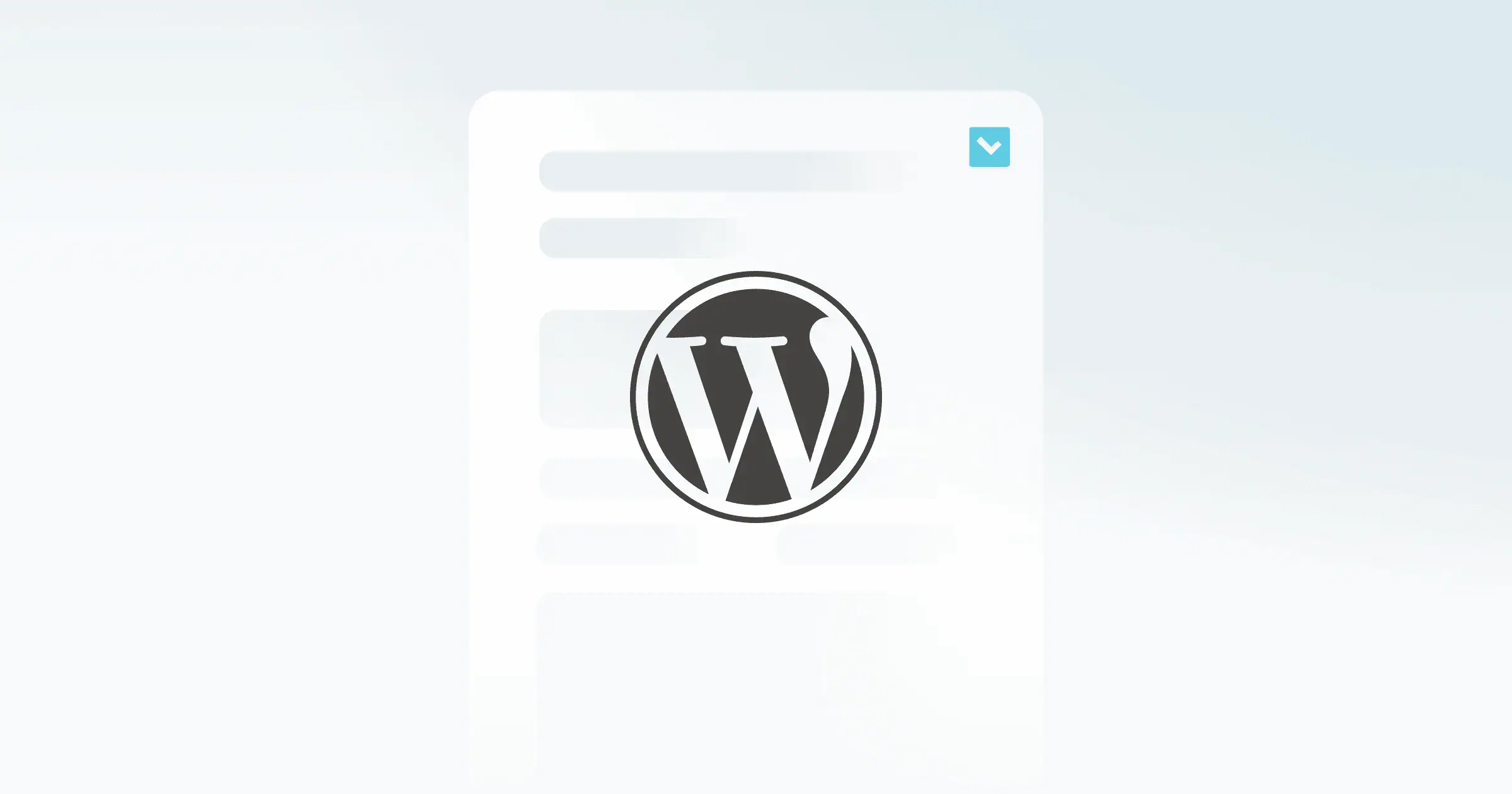 WordPress
